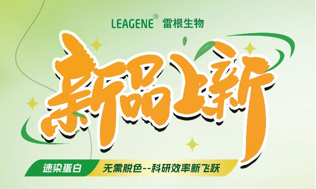 最新力作【考馬斯亮藍(lán)快速染色液（免脫色版）】，正式加入我們的產(chǎn)品家族！